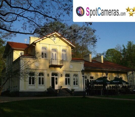 Kamera Polska – Dębica: Widok na rynek oraz ulicę Krakowska