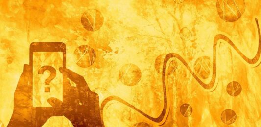 Wynajem koparek – poznaj sprytny sposób na niższe koszty i zero zmartwień Agencja hostess