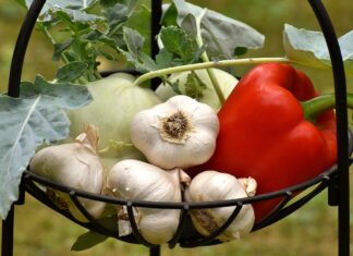 Jak komponować lunchbox do szkoły bez mięsa i glutenu?