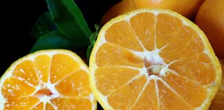 Jesienne dania z dynią w roli głównej