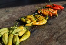 Jajka w chmurze z pieczywem pełnoziarnistym