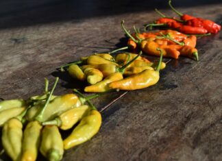 Ranking zamienników jajek – smak, skład, cena