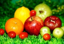 Moja transformacja – od mięsa do rośliny