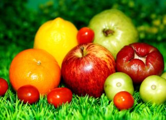 Moja transformacja – od mięsa do rośliny