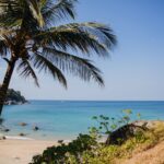 Spokojna plaża w Phuket z palmami i turkusową wodą